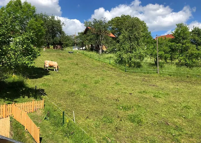 Fam. Unterberger شقة باد غويسرن