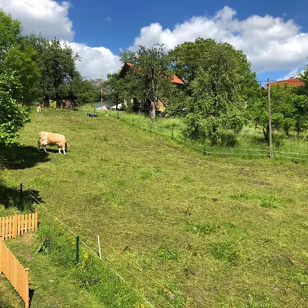 Fam. Unterberger Apartamento Bad Goisern